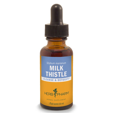 Milk Thistle - My Village Green